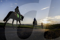 Racehorses exercised on Epsom Downs racecourse in Surrey, UK