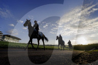 Racehorses exercised on Epsom Downs racecourse in Surrey, UK