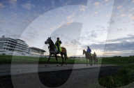 Racehorses exercised on Epsom Downs racecourse in Surrey, UK