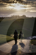 Racehorses exercised on Epsom Downs racecourse in Surrey, UK