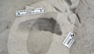 Fossil footprints show two human species lived side by side