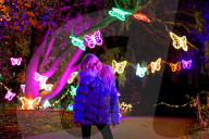 FEATURE - WINTER LIGHT TRAIL EVENT INPUT