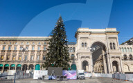 Milano - Albero di Natale in PIazza del Duomo