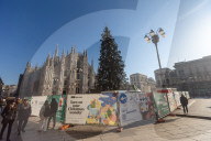 Milano - Albero di Natale in PIazza del Duomo