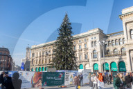Milano - Albero di Natale in PIazza del Duomo