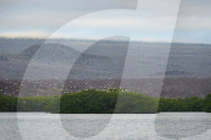 Galapagos animal paradise