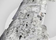 Les empreintes de pas de deux espèces humaines distinctes, vieilles de 1,5 million d’années, retrouvées près du lac Turkana (Kenya)