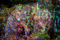 La Fête des Lumières à Lyon