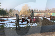 Hutsul ponies help with rehabilitation of Ukrainian military