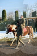 Hutsul ponies help with rehabilitation of Ukrainian military