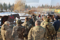 Hutsul ponies help with rehabilitation of Ukrainian military