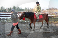 Hutsul ponies help with rehabilitation of Ukrainian military