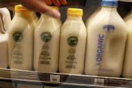 California's Raw Milk industry