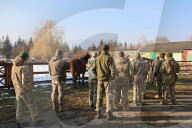 Hutsul ponies help with rehabilitation of Ukrainian military