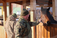 Hutsul ponies help with rehabilitation of Ukrainian military