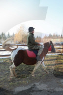Hutsul ponies help with rehabilitation of Ukrainian military