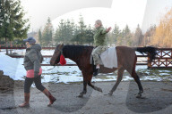 Hutsul ponies help with rehabilitation of Ukrainian military