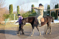 Hutsul ponies help with rehabilitation of Ukrainian military