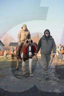Hutsul ponies help with rehabilitation of Ukrainian military