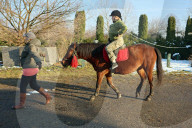 Hutsul ponies help with rehabilitation of Ukrainian military