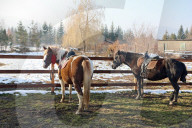 Hutsulyk Hutsul Pony Centre in Kosiv