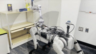 New way to teach robot dogs new tricks