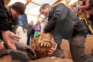 Mastodon moves for first time in 27,000 years