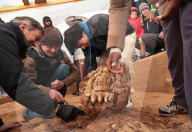 Mastodon moves for first time in 27,000 years