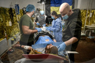 Ukraine Military surgical team works the frontline