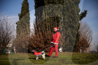 Raduno dei Babbi Natale 2024 a Torino