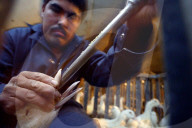 California foie gras ban