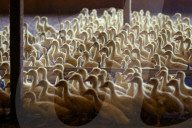 California foie gras ban