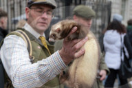 UK Farmers Protest thru London