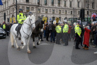 UK Farmers Protest thru London