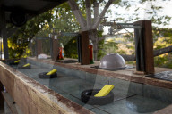 California Metta Forest Buddhist monastery