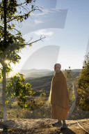 California Metta Forest Buddhist monastery