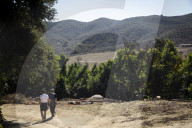 California Metta Forest Buddhist monastery