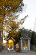 California Metta Forest Buddhist monastery