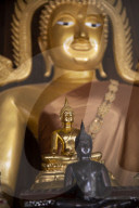 California Metta Forest Buddhist monastery