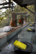 California Metta Forest Buddhist monastery