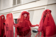 Flash Mob Extinction Rebellion