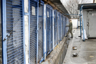 Ukraine Police K-9 training center