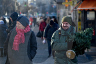 Christmas trees on sale in Kyiv