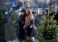 Christmas trees on sale in Kyiv
