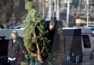 Christmas trees on sale in Kyiv