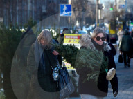 Christmas trees on sale in Kyiv