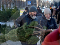 Christmas trees on sale in Kyiv