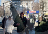 Christmas trees on sale in Kyiv