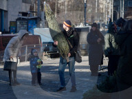 Christmas trees on sale in Kyiv