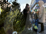Christmas trees on sale in Kyiv